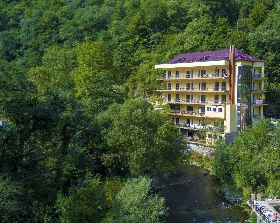 Hotel Holiday Maria Baile Herculane Ngoại thất bức ảnh